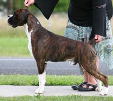 Ronin Pure Genius at 12.