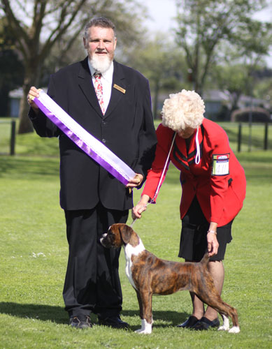 Lainee Best Baby Puppy in Show, Ruahine