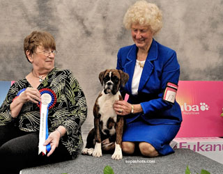 Lainee head 5 months