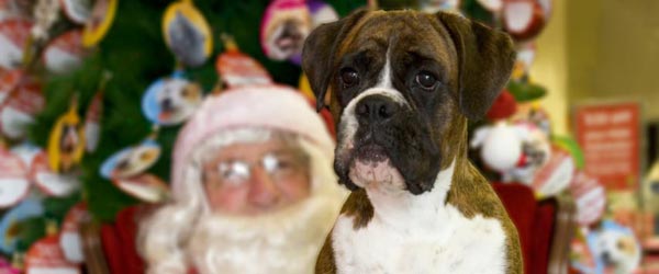 Lola's first visit to Santa.