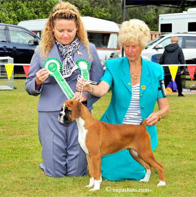 Nick Best Baby Puppy in Group