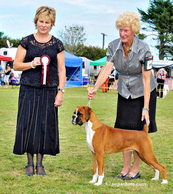 Nick Best Baby Puppy in Group