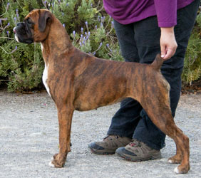 Petra Stacked 13 months