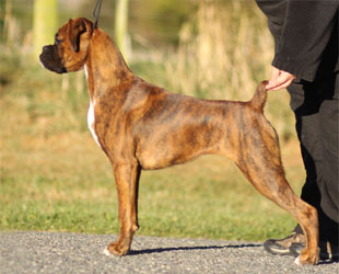 Petra Stacked 6 months