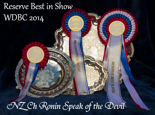 Reserve Best in Show!!