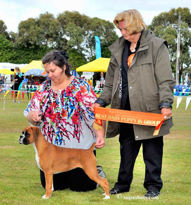 Tango Best Puppy of Group