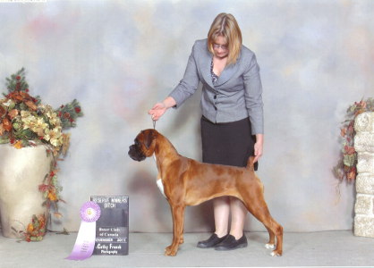 Vala at the Boxer Club