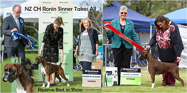 Multiple In Show Winners