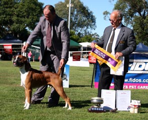 Opposite Sex in Show