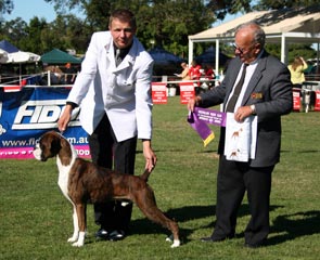 Opposite Junior in Show