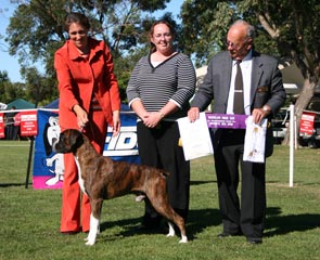 Opposite Open in Show