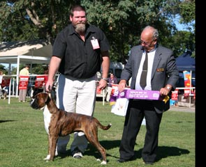 Opposite State Bred in Show