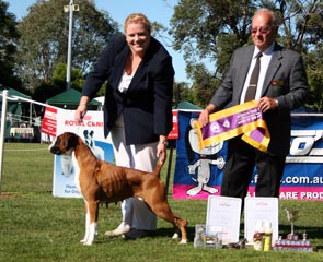 Reserve Best in Show