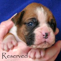 Fonzie Fonzarelli (Fonzie), day nineteen.